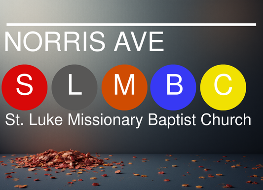 St. Luke SLMBC Metro/Subway 20oz UV-Printed Tumbler