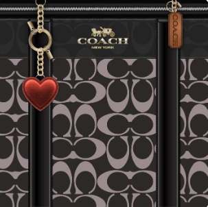 Coasters: Coach (4 Set)